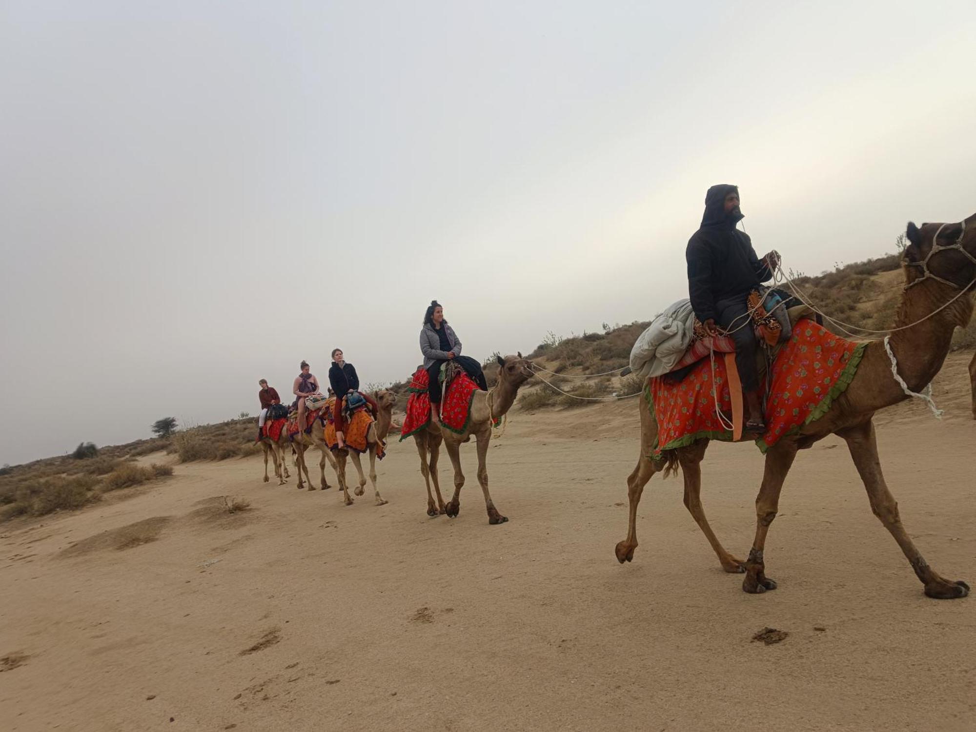 Ideal Guest House جيلسامر المظهر الخارجي الصورة