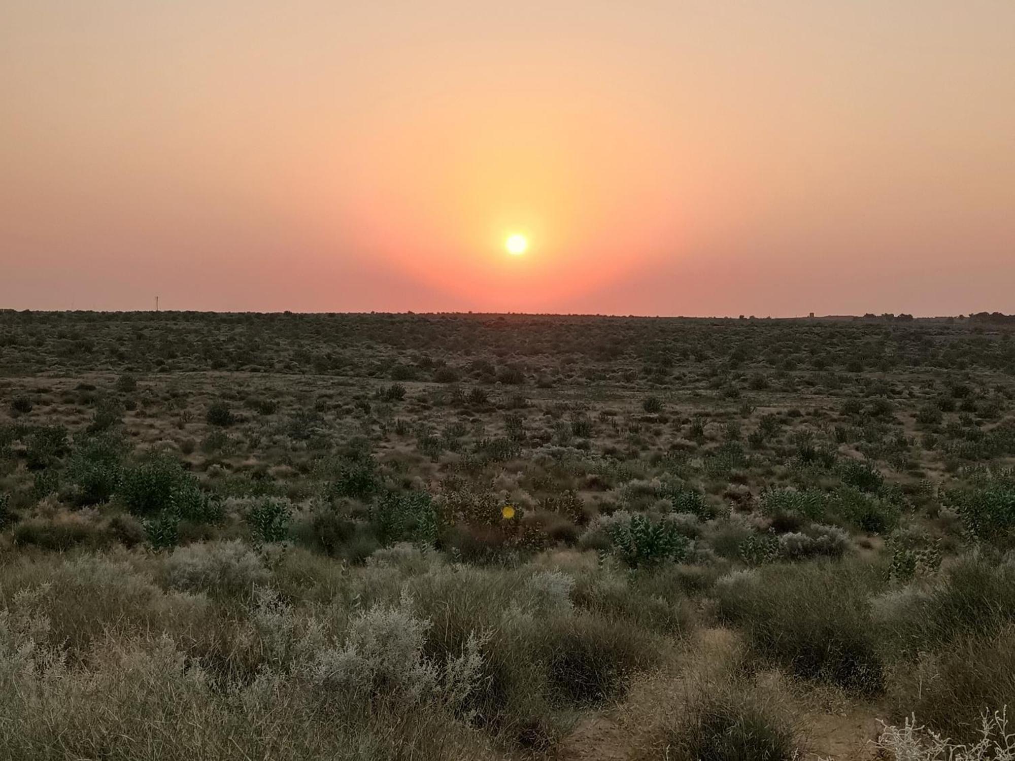 Ideal Guest House جيلسامر المظهر الخارجي الصورة