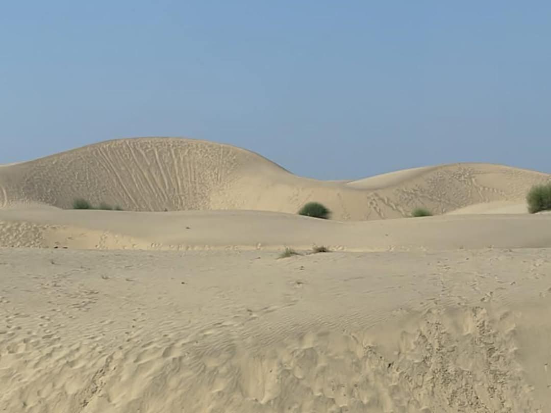 Ideal Guest House جيلسامر المظهر الخارجي الصورة